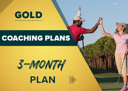 Picture of Gold 3 Month Coaching Plan