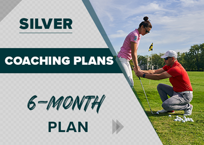 Picture of Silver 6 Month Coaching Plan